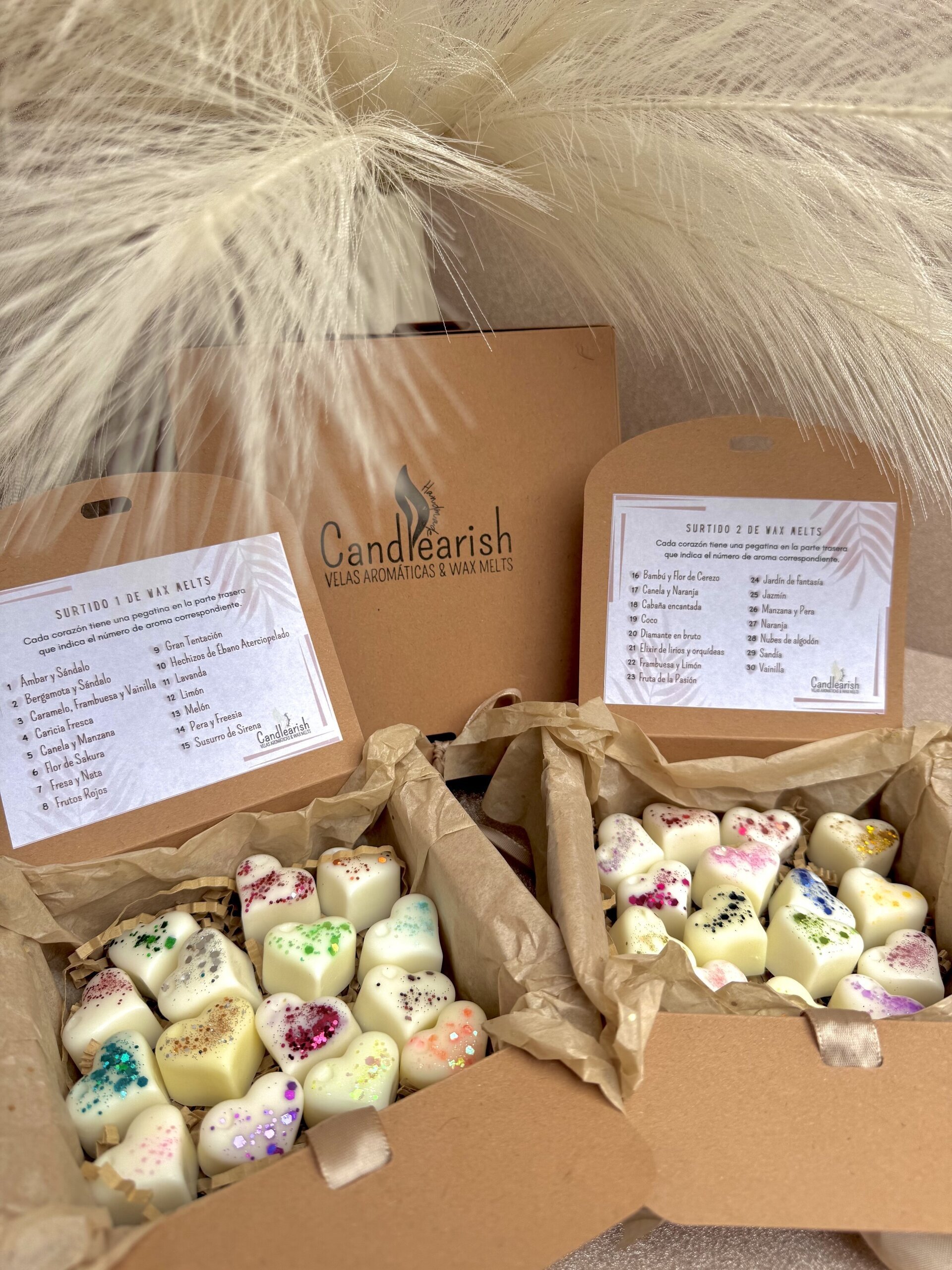 Surtido Wax Melts - 5