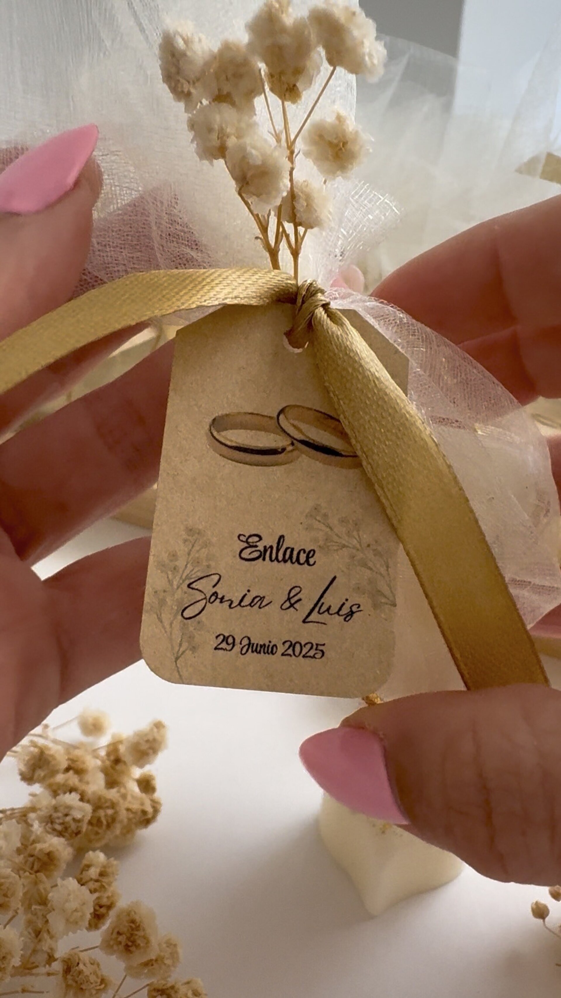 Alianzas de Amor - 5