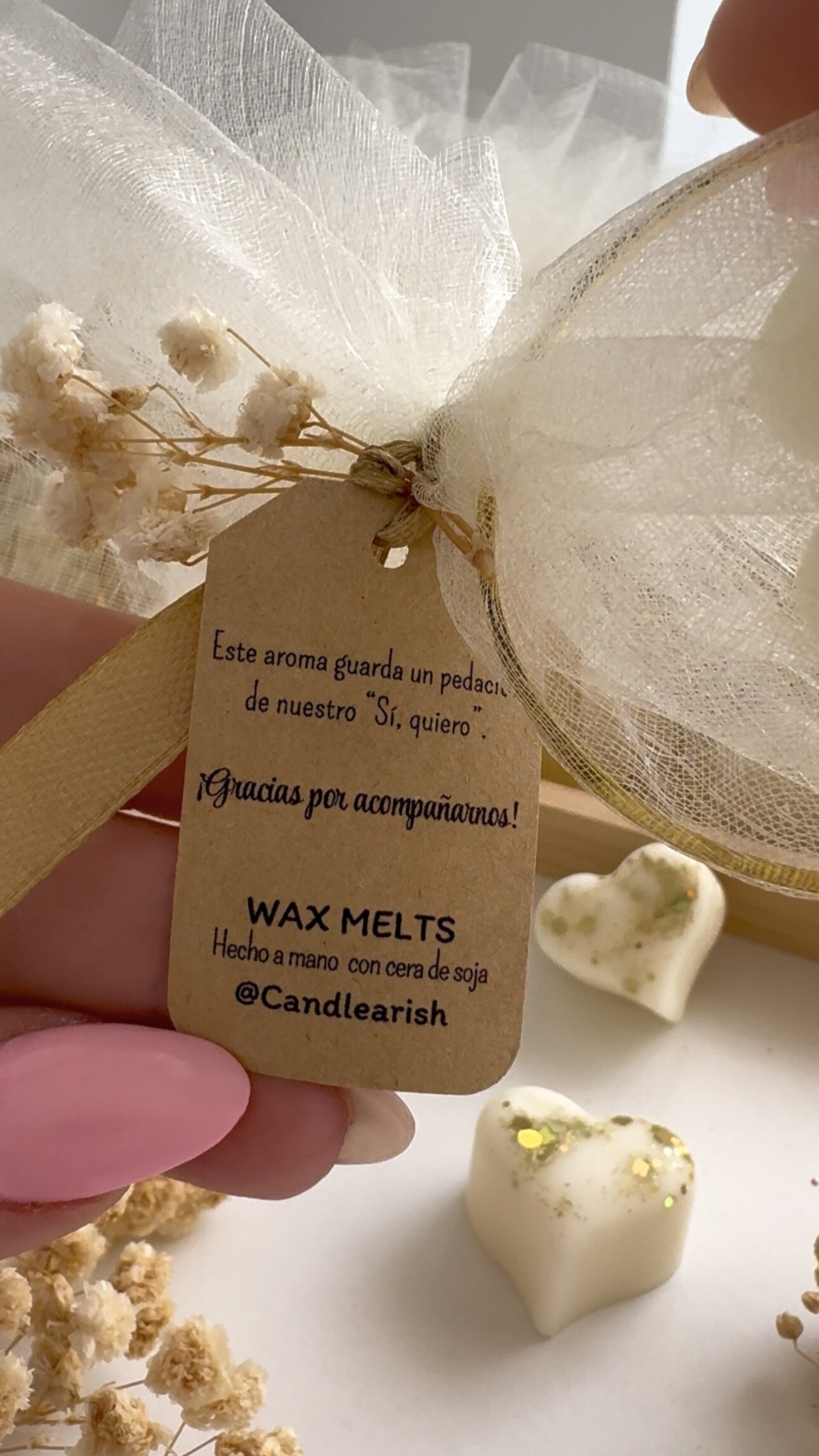Alianzas de Amor - 6